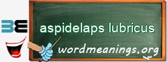 WordMeaning blackboard for aspidelaps lubricus